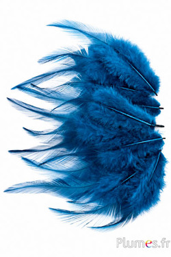 Gallo - 8-12 cm - petrolio